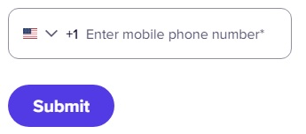 Enter phone number on the website that request it